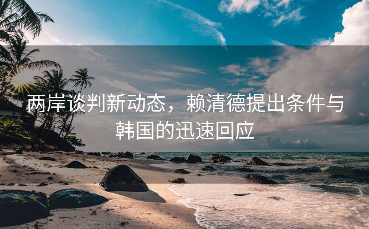 两岸谈判新动态，赖清德提出条件与韩国的迅速回应