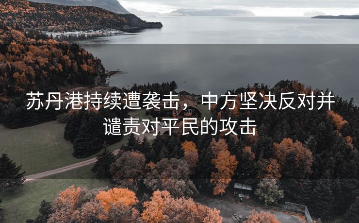 苏丹港持续遭袭击，中方坚决反对并谴责对平民的攻击