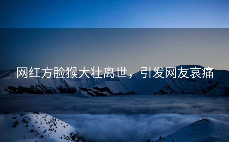 网红方脸猴大壮离世，引发网友哀痛