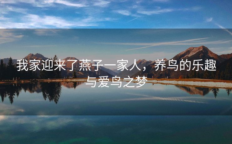 我家迎来了燕子一家人，养鸟的乐趣与爱鸟之梦
