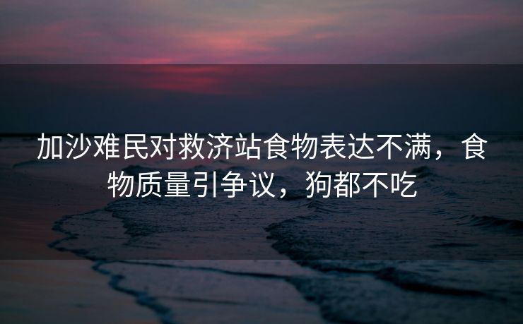 加沙难民对救济站食物表达不满，食物质量引争议，狗都不吃