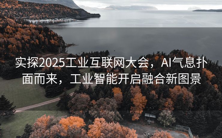 实探2025工业互联网大会，AI气息扑面而来，工业智能开启融合新图景