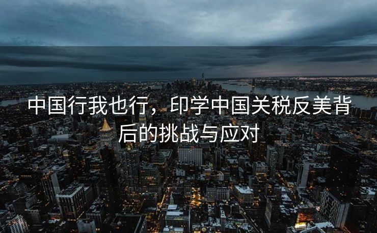 中国行我也行，印学中国关税反美背后的挑战与应对