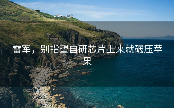 雷军，别指望自研芯片上来就碾压苹果