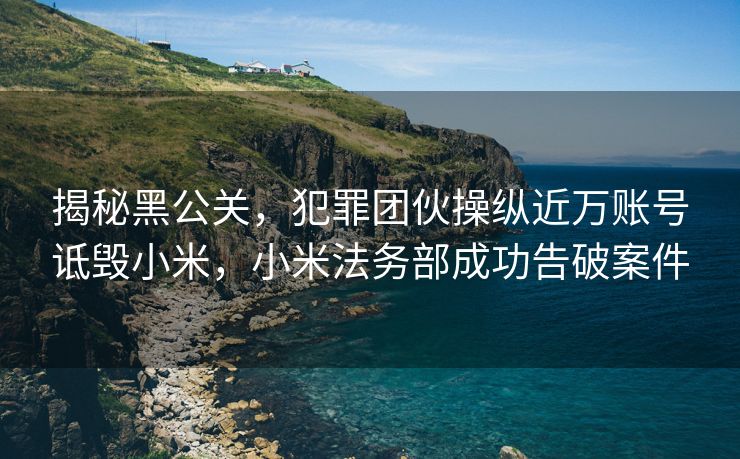 揭秘黑公关，犯罪团伙操纵近万账号诋毁小米，小米法务部成功告破案件