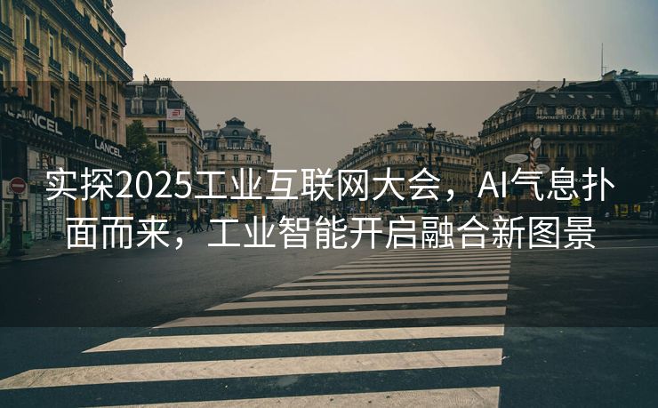 实探2025工业互联网大会，AI气息扑面而来，工业智能开启融合新图景