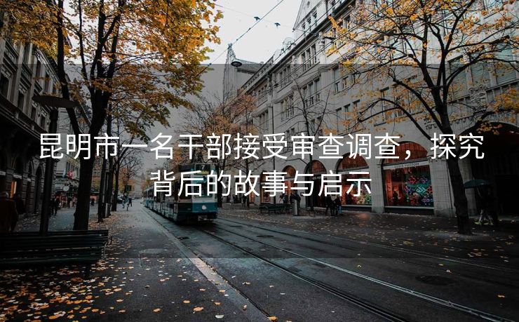 昆明市一名干部接受审查调查，探究背后的故事与启示