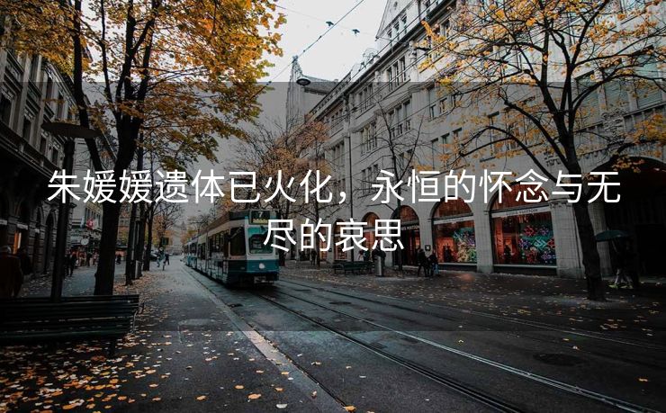朱媛媛遗体已火化，永恒的怀念与无尽的哀思