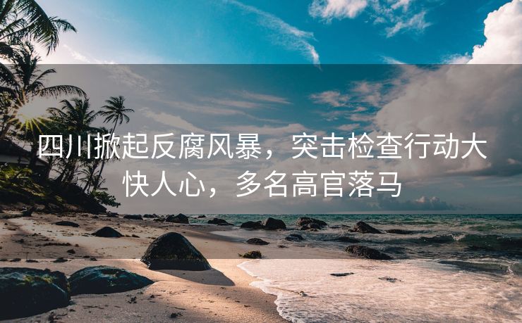 四川掀起反腐风暴，突击检查行动大快人心，多名高官落马