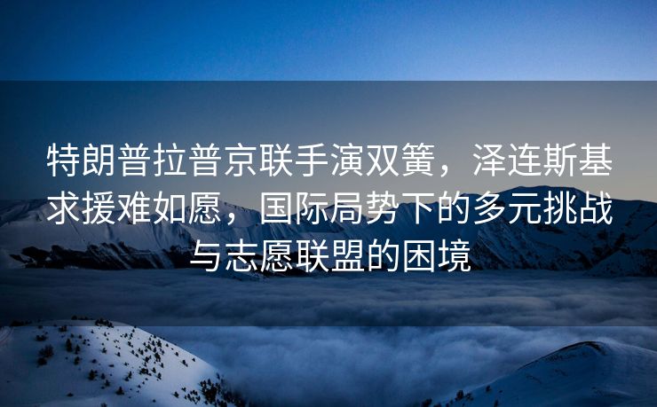 特朗普拉普京联手演双簧，泽连斯基求援难如愿，国际局势下的多元挑战与志愿联盟的困境