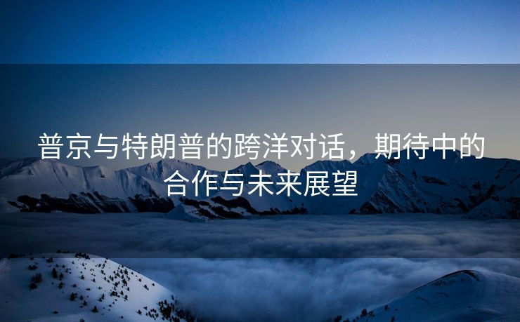 普京与特朗普的跨洋对话，期待中的合作与未来展望