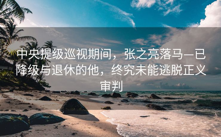 中央提级巡视期间，张之亮落马—已降级与退休的他，终究未能逃脱正义审判