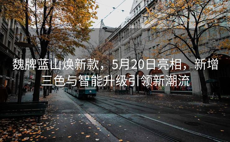魏牌蓝山焕新款，5月20日亮相，新增三色与智能升级引领新潮流