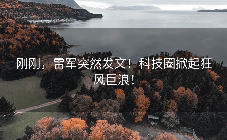 刚刚，雷军突然发文！科技圈掀起狂风巨浪！