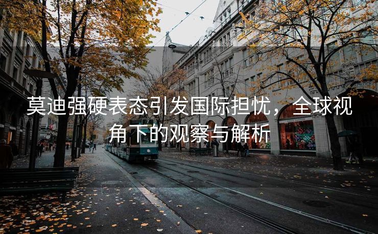 莫迪强硬表态引发国际担忧，全球视角下的观察与解析