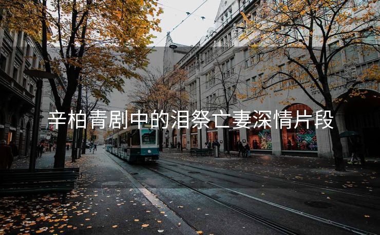 辛柏青剧中的泪祭亡妻深情片段
