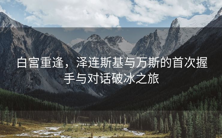 白宫重逢，泽连斯基与万斯的首次握手与对话破冰之旅