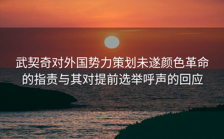 武契奇对外国势力策划未遂颜色革命的指责与其对提前选举呼声的回应