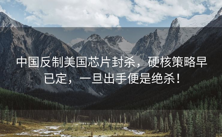 中国反制美国芯片封杀，硬核策略早已定，一旦出手便是绝杀！