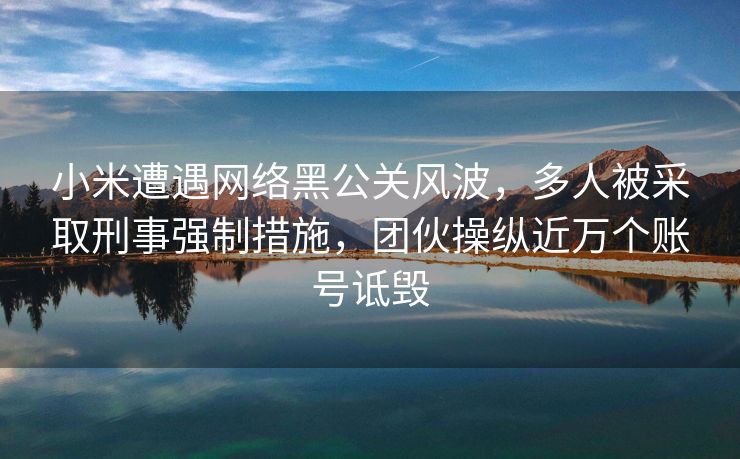 小米遭遇网络黑公关风波，多人被采取刑事强制措施，团伙操纵近万个账号诋毁
