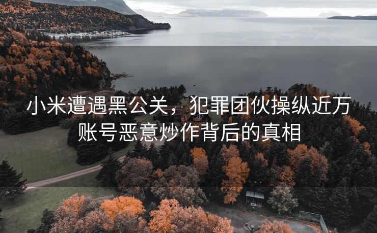 小米遭遇黑公关，犯罪团伙操纵近万账号恶意炒作背后的真相