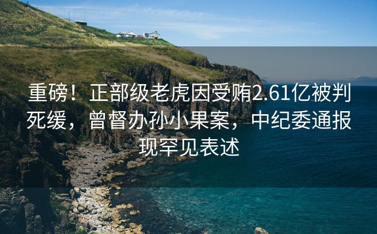 重磅！正部级老虎因受贿2.61亿被判死缓，曾督办孙小果案，中纪委通报现罕见表述