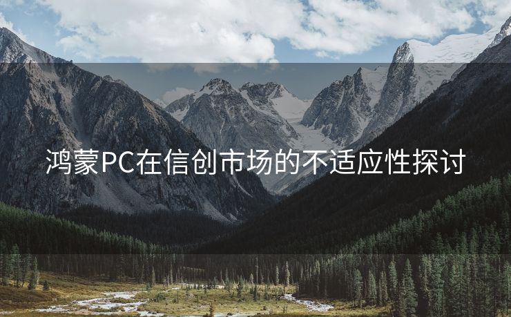 鸿蒙PC在信创市场的不适应性探讨