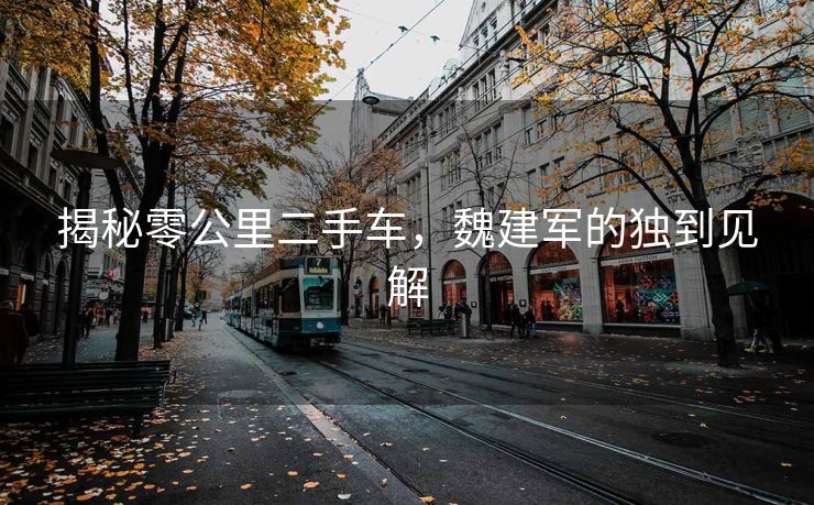 揭秘零公里二手车，魏建军的独到见解