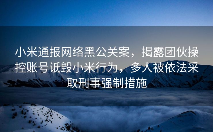 小米通报网络黑公关案，揭露团伙操控账号诋毁小米行为，多人被依法采取刑事强制措施