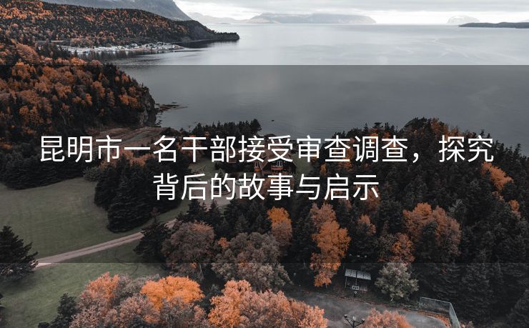 昆明市一名干部接受审查调查，探究背后的故事与启示