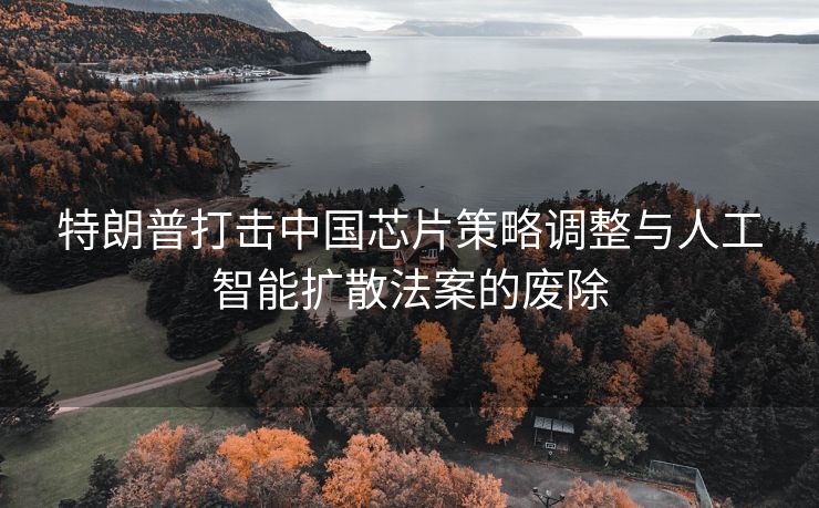特朗普打击中国芯片策略调整与人工智能扩散法案的废除