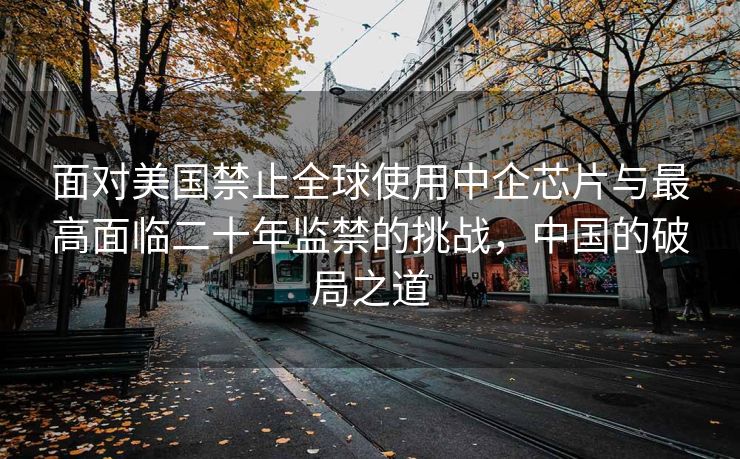面对美国禁止全球使用中企芯片与最高面临二十年监禁的挑战，中国的破局之道