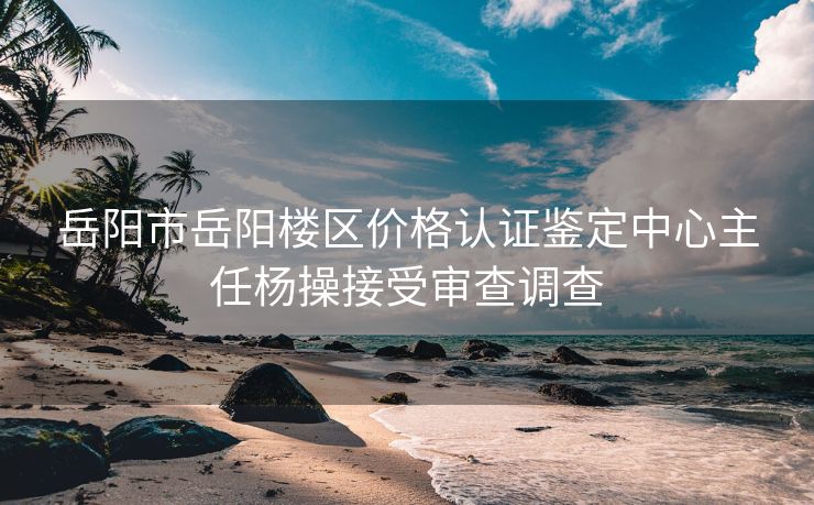 岳阳市岳阳楼区价格认证鉴定中心主任杨操接受审查调查