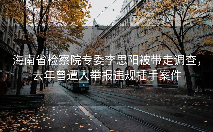 海南省检察院专委李思阳被带走调查，去年曾遭人举报违规插手案件