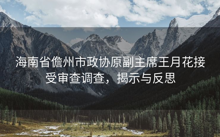 海南省儋州市政协原副主席王月花接受审查调查，揭示与反思