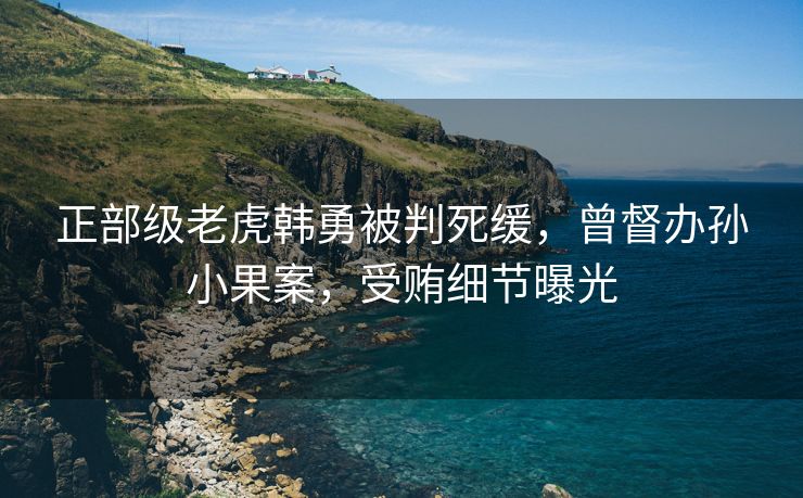 正部级老虎韩勇被判死缓，曾督办孙小果案，受贿细节曝光