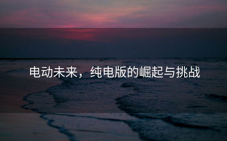 电动未来，纯电版的崛起与挑战