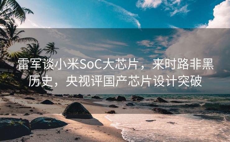 雷军谈小米SoC大芯片，来时路非黑历史，央视评国产芯片设计突破