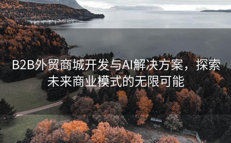 B2B外贸商城开发与AI解决方案，探索未来商业模式的无限可能