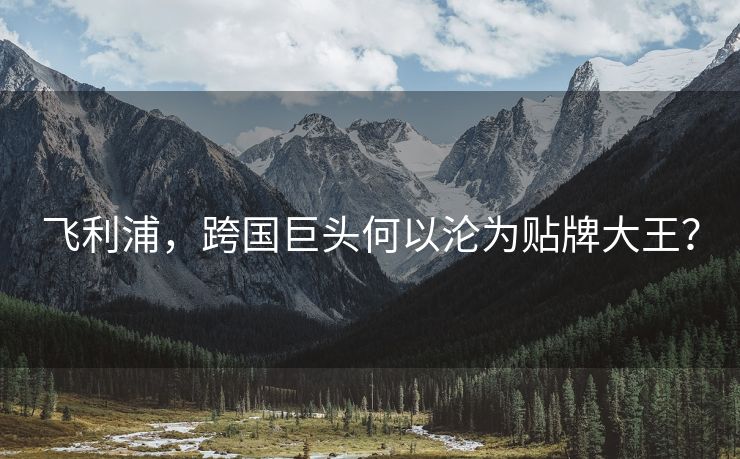 飞利浦，跨国巨头何以沦为贴牌大王？