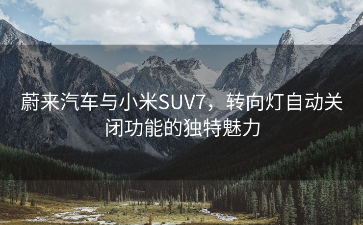 蔚来汽车与小米SUV7，转向灯自动关闭功能的独特魅力