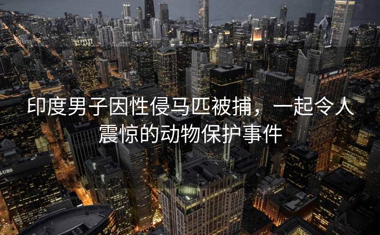 印度男子因性侵马匹被捕，一起令人震惊的动物保护事件