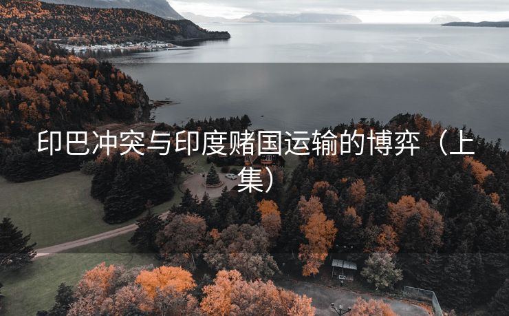 印巴冲突与印度赌国运输的博弈（上集）