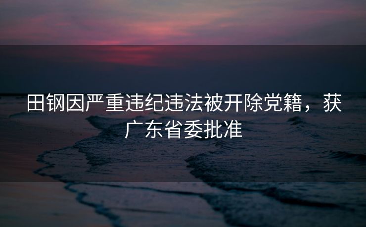 田钢因严重违纪违法被开除党籍，获广东省委批准
