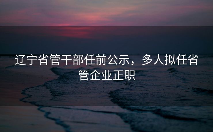 辽宁省管干部任前公示，多人拟任省管企业正职