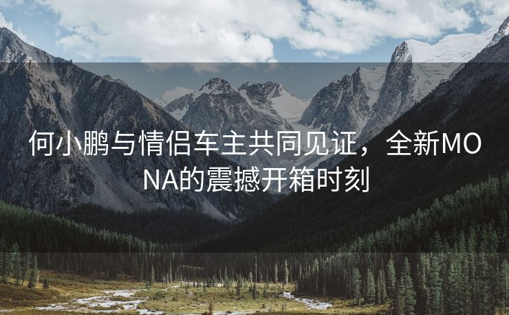何小鹏与情侣车主共同见证，全新MONA的震撼开箱时刻