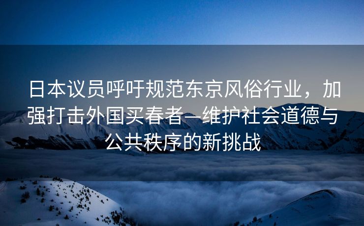 日本议员呼吁规范东京风俗行业，加强打击外国买春者—维护社会道德与公共秩序的新挑战