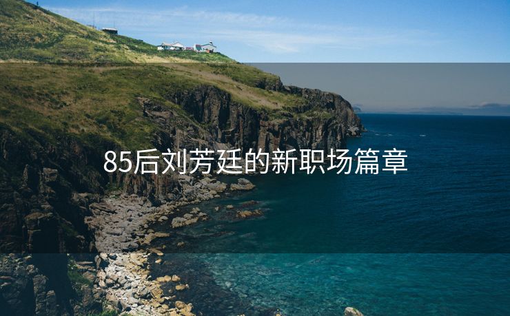 85后刘芳廷的新职场篇章