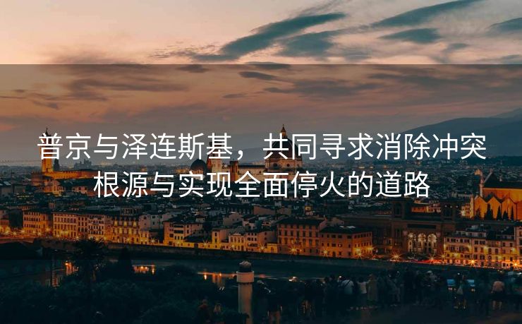 普京与泽连斯基，共同寻求消除冲突根源与实现全面停火的道路