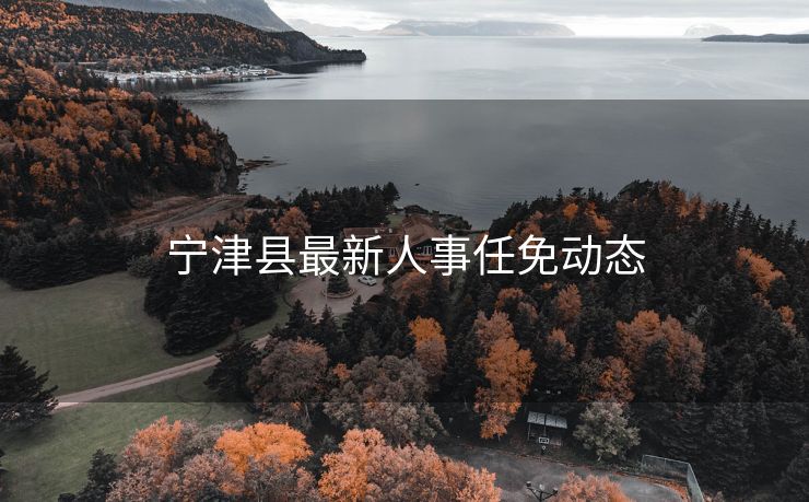 宁津县最新人事任免动态